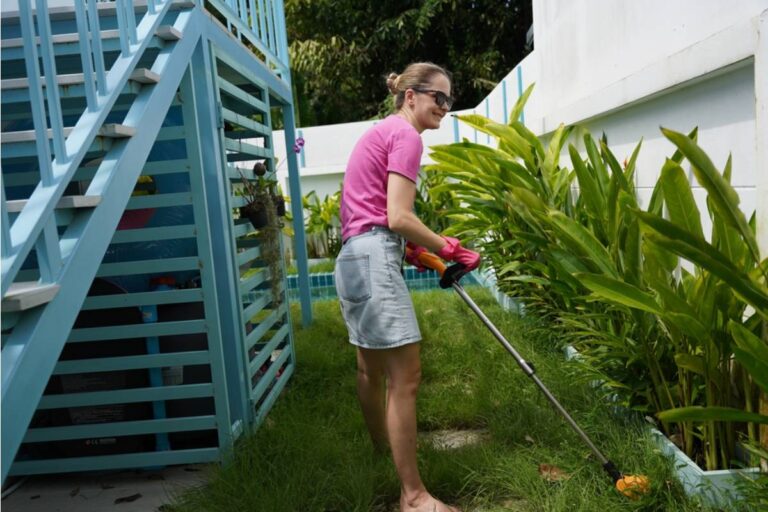 She Waited Until Her Divorce Was Final to Finally Plant the Garden Her Ex Never Allowed, Then Her New Neighbor Tried to Have It Removed