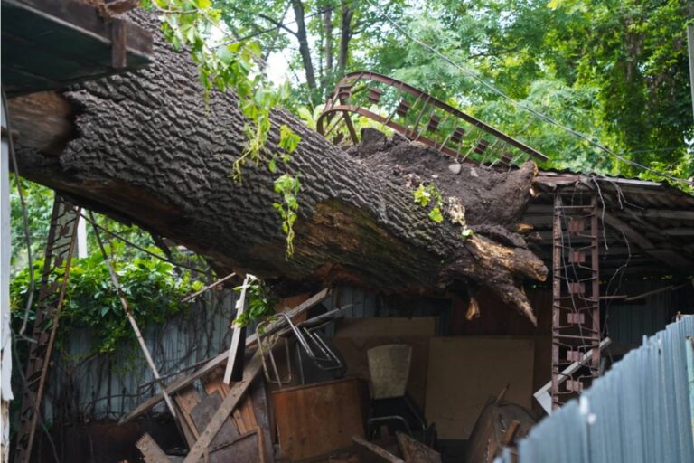 Homeowner Says a Neighbor's Insurance Adjuster Blamed Storm Damage to His Roof on Tree Roots From a Garden That Was Planted After the House Was Built