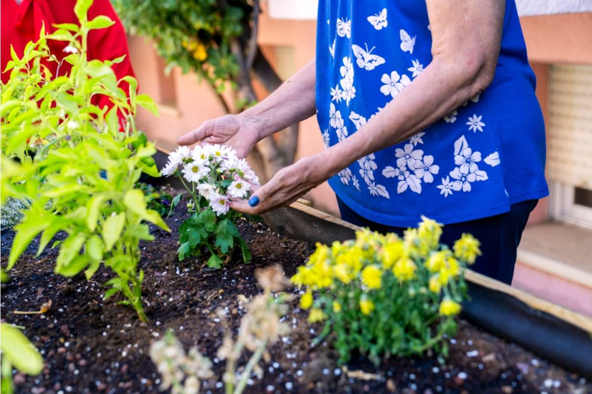 A Retired Nurse Spent a Decade Turning a Vacant Lot Into a Free Community Garden, Then Learned the City Had Been Charging Neighbors to "Reserve" Plots in Her Name