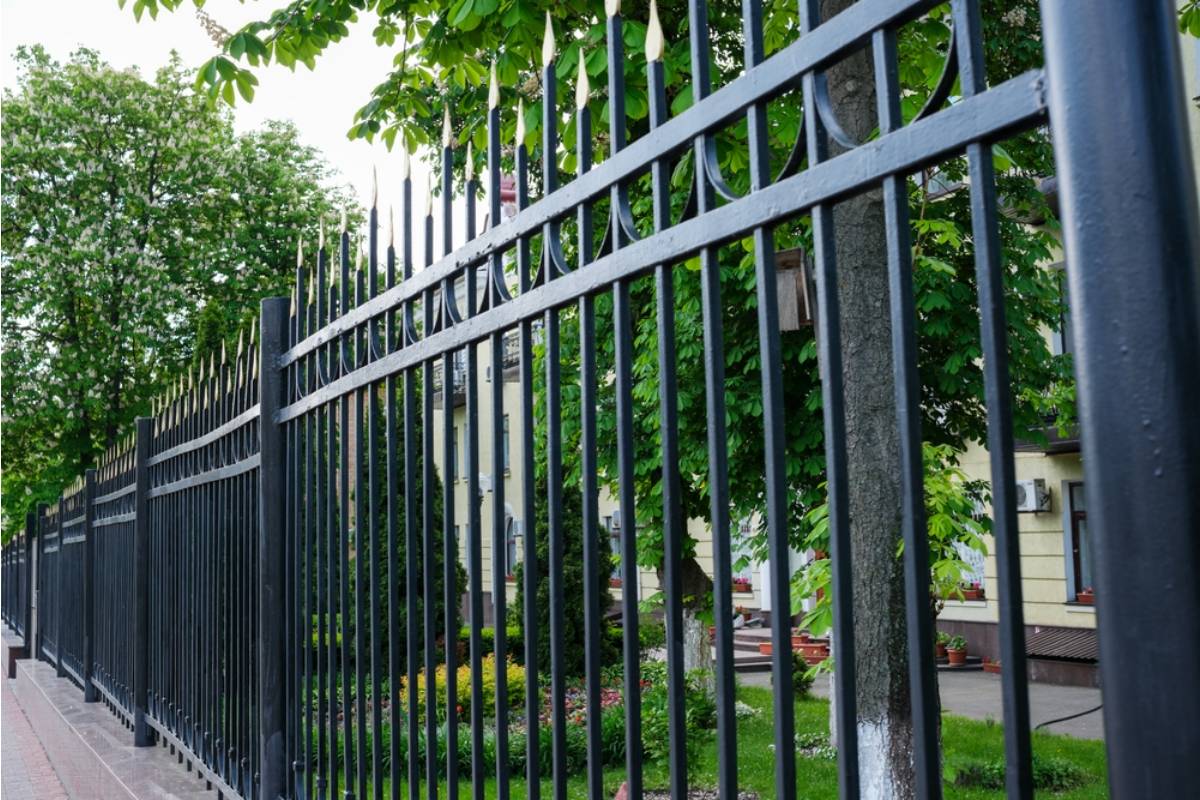 She Never Understood Why Her Grandmother Refused to Grow Anything Near the Back Fence, Until an Old Property Deed Explained Why