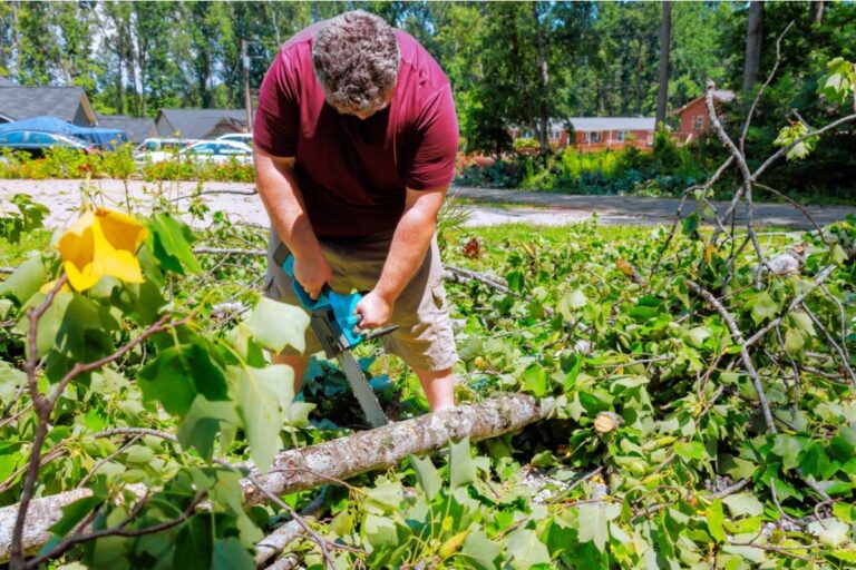 Buyer Removes Family’s Trees Two Weeks Before Closing, Then Seller Decides the Deal Isn’t Happening
