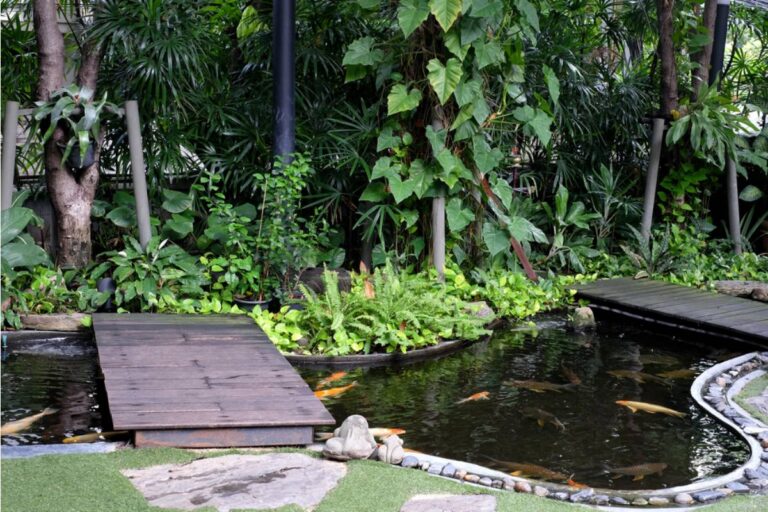 A Man Spent Fifteen Years Rebuilding the Koi Pond His Late Father Designed by Hand, Then a City Drainage Project Rerouted the Water Source Without Warning