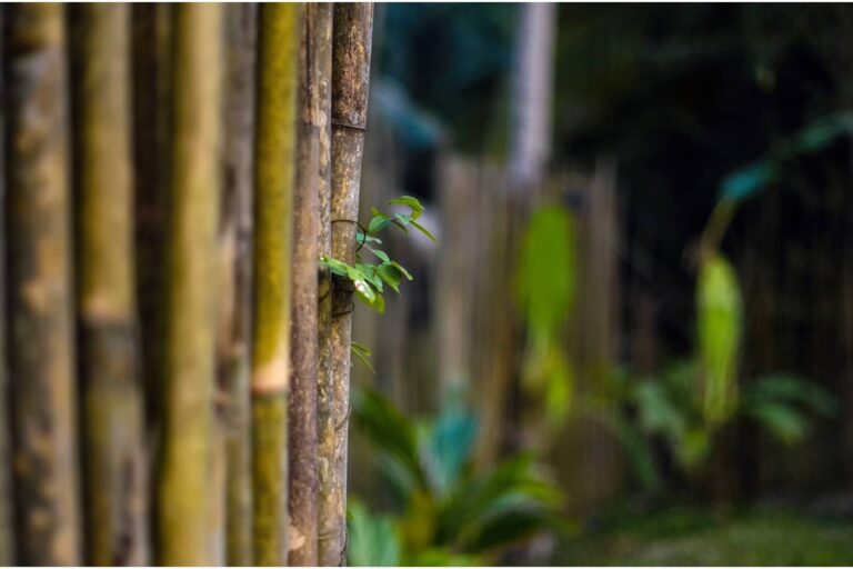 Homeowner Says Her Neighbors Planted Bamboo as a Natural Fence, Then Six Years Later Its Runners Punched Through Her Pool, Driveway, and Walkway