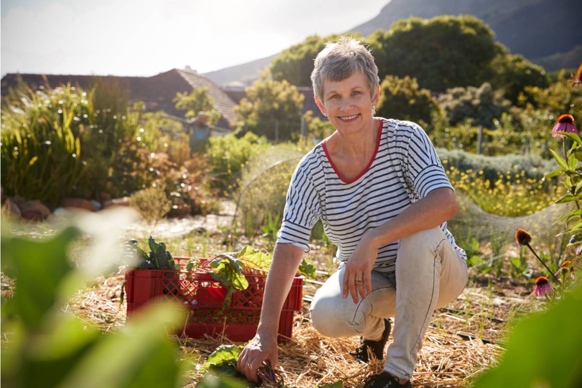 The City Told Her the Community Garden Plot Was Hers for Life, Then Sent a Letter Twenty Years Later Saying Otherwise