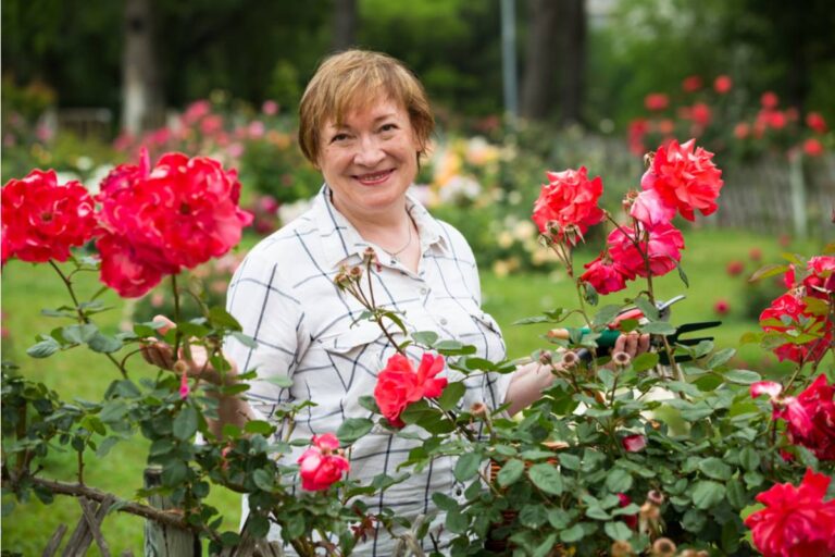 She Never Told Anyone Why She Refused to Sell the House, Until a Buyer Finally Asked What Was Buried Beneath the Rose Bed