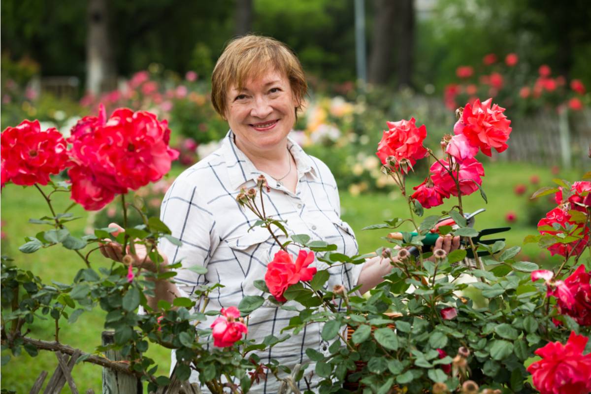She Never Told Anyone Why She Refused to Sell the House, Until a Buyer Finally Asked What Was Buried Beneath the Rose Bed