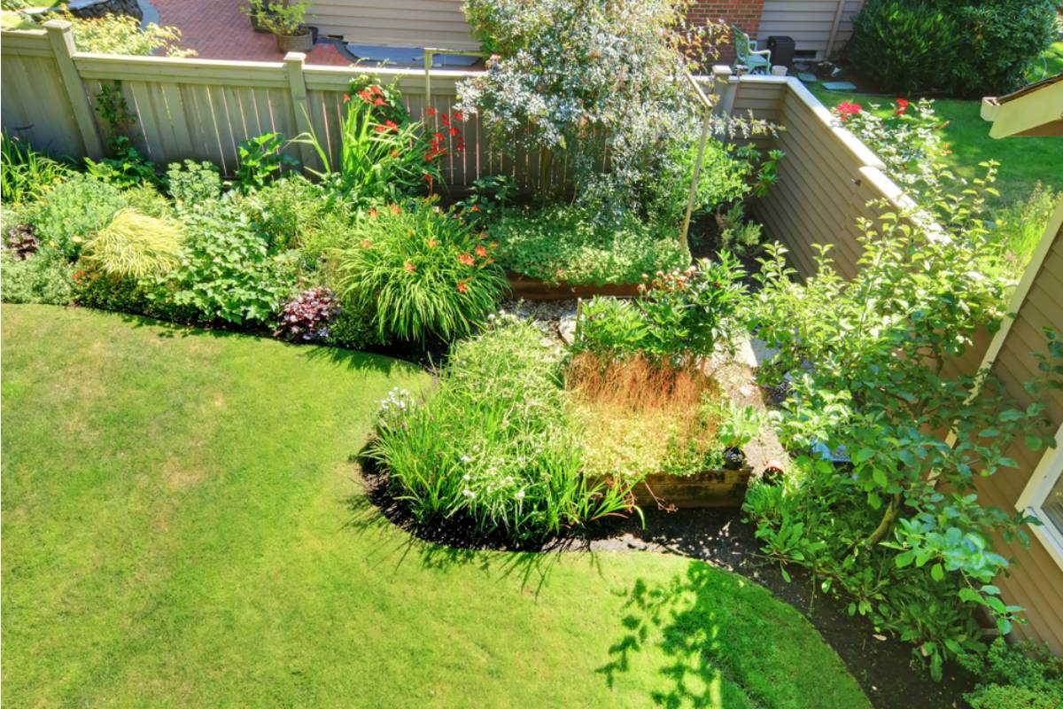 A Grandmother's Garden Sat Untouched for Two Years After She Passed, Until Her Grandchildren Found Out Why She Never Wanted It Changed