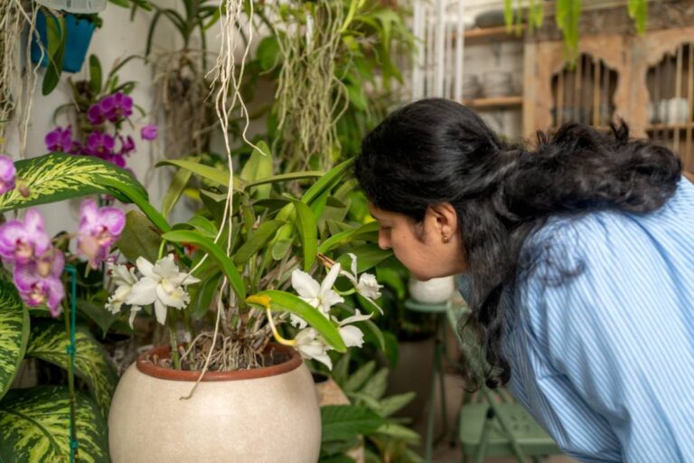A Family Couldn’t Figure Out Why Their Garden Smelled Like Something Had Died, Until They Looked Over the Neighbor’s Wall and Found the Source
