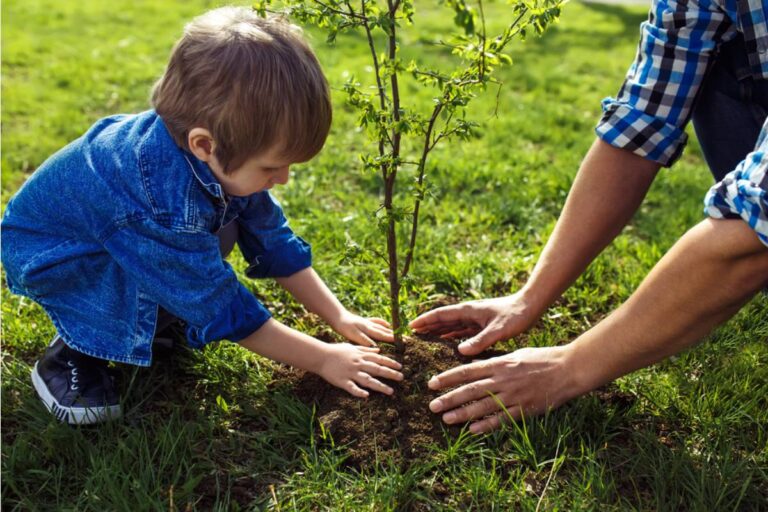 A Father Thought Planting Eight Fruit Trees With His Four-Year-Old Would Give His Wife a Quiet Morning, Then She Spent Four Hours Waiting for Them to Come Back