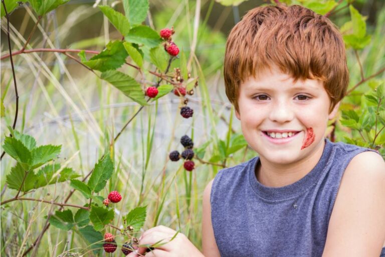 A Gardener Waited All Summer for One Perfect Strawberry, Only to Catch a Tiny Family Member Eating It Straight Off the Plant