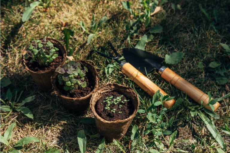 A Homeowner Finally Bought Her Dream House After Twenty Years of Saving, Then Her Neighbor's Family Turned Her Garden Into a Daily Battleground
