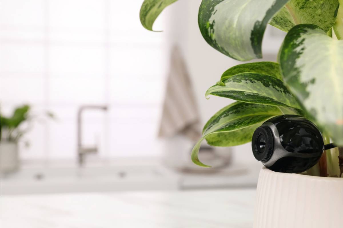 A Mother Says Her Upstairs Neighbor Turned Every Garden Chore Into a Battle, Then a Strange Flower Pot Revealed How Closely She Had Been Watching