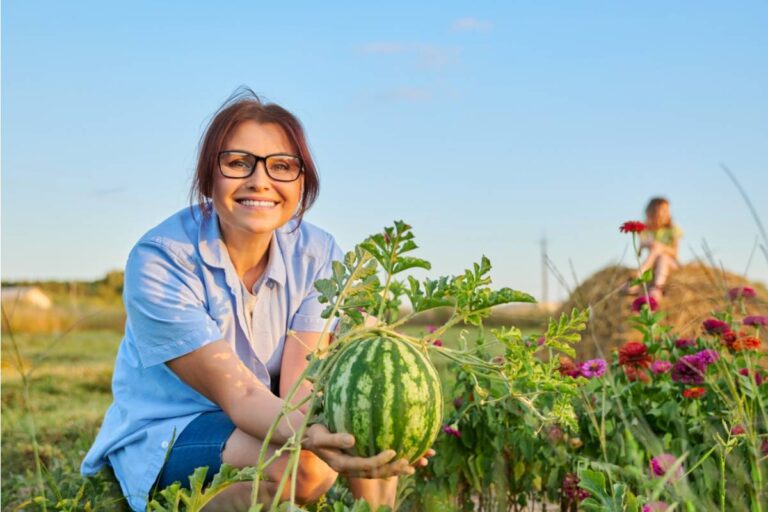 A New Gardener Was Warned Not to Get Attached to Her Community Garden Plot, Then Someone Stole the Watermelon She Had Treated Like Family
