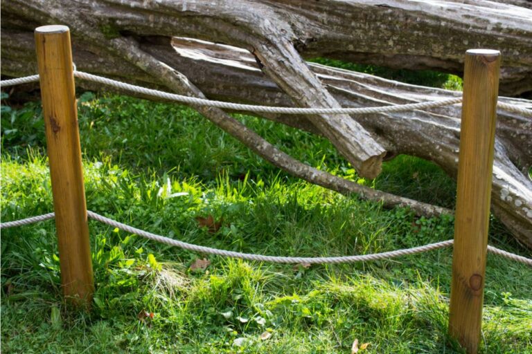 A Renter Installed a Rope to Stop His Neighbor From Wandering Into His Backyard, Then Came Home to Find the Rope on His Steps With a Warning About His Garden Fence