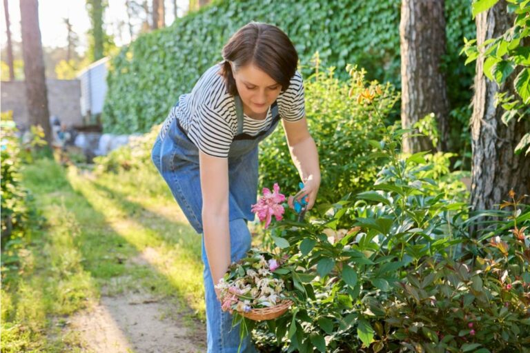 A Woman Spent Years Caring for Her Neighbor's Lawn for Free, Then Watched the Same Neighbor Destroy Her Flower Garden and Rewrite the Story Years Later