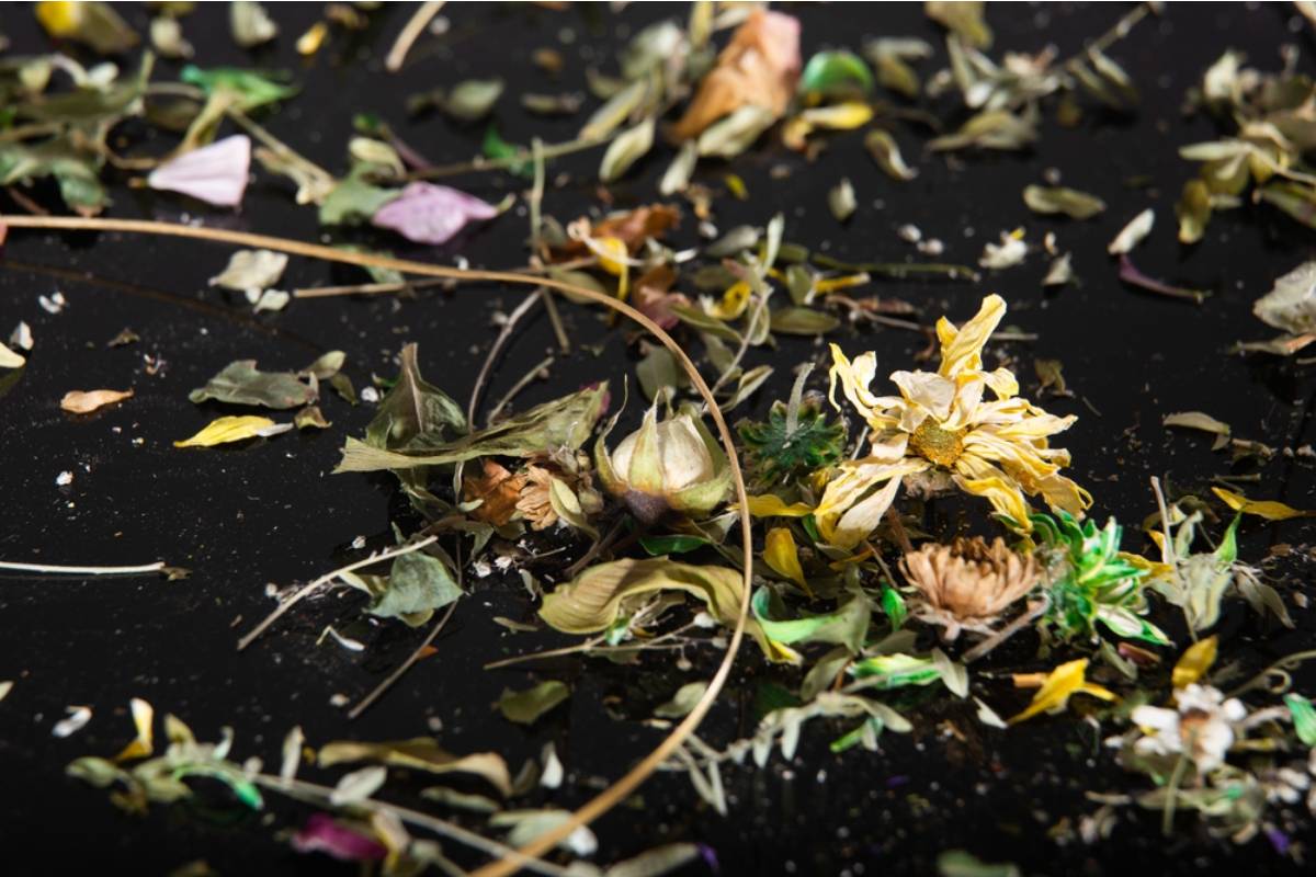 A Young Homeowner Says Neighborhood Kids Turned His Flower Bed Into a Shortcut, Then One Spring Visit Revealed What Had Happened to a Bird’s Nest