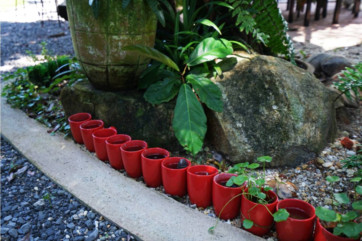 An 89-Year-Old Woman Spent Decades Turning a Patch of Pavement Into a Street Garden, Then Her Neighbors Finally Called the Council