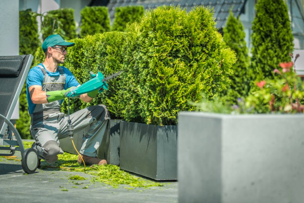 Gardener Quotes Homeowner $400 for a Lawn Makeover, Then Sends a $4,000 Bill After Quietly Covering the Yard With Hundreds of Bags