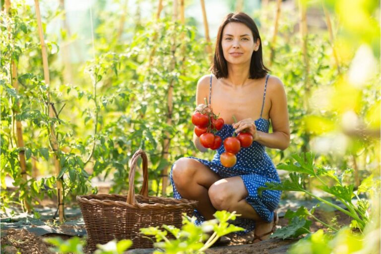 Gardener Says Her Neighbor Kept Treating the Community Beds Like a Free Market, Then One Perfect Tomato Harvest Finally Ended It