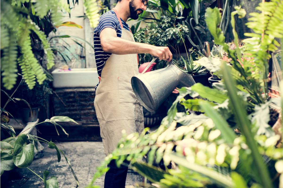He Volunteered to Rescue His Apartment Building’s Neglected Garden, Then a Neighbor’s Misdelivered Cat Food Gave Him the Perfect Payback
