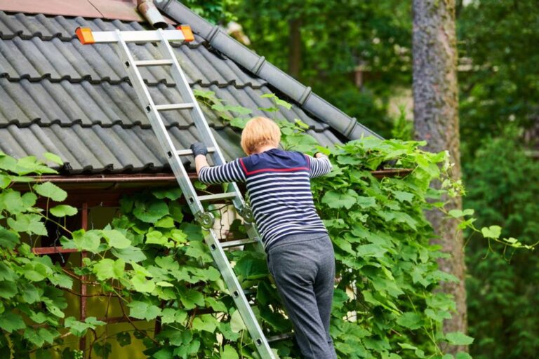 Homeowner Comes Home to Find His Neighbor Pruning Vines Around the House, Then Learns the Real Reason He Thought He Was Allowed to Do It