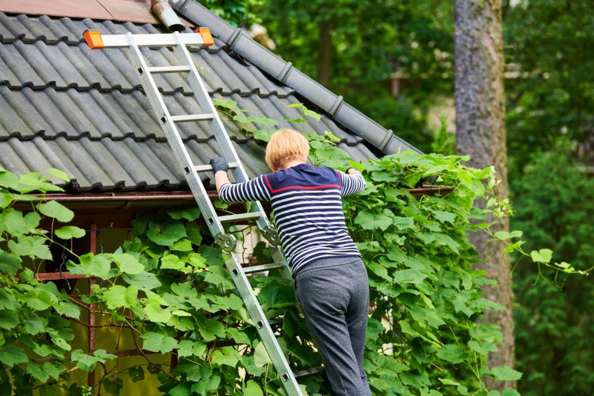 Homeowner Comes Home to Find His Neighbor Pruning Vines Around the House, Then Learns the Real Reason He Thought He Was Allowed to Do It