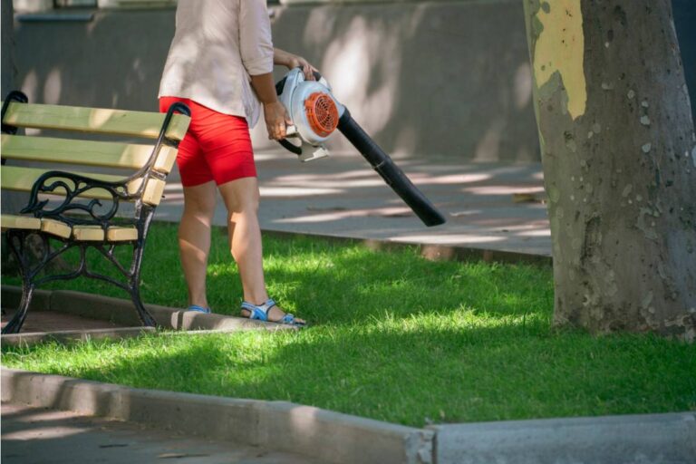 Homeowner Finally Fired Up a Leaf Blower After Six Months of Sleepless Weekends, Then Turned Saturday Morning Into a Garden-Powered Wake-Up Call