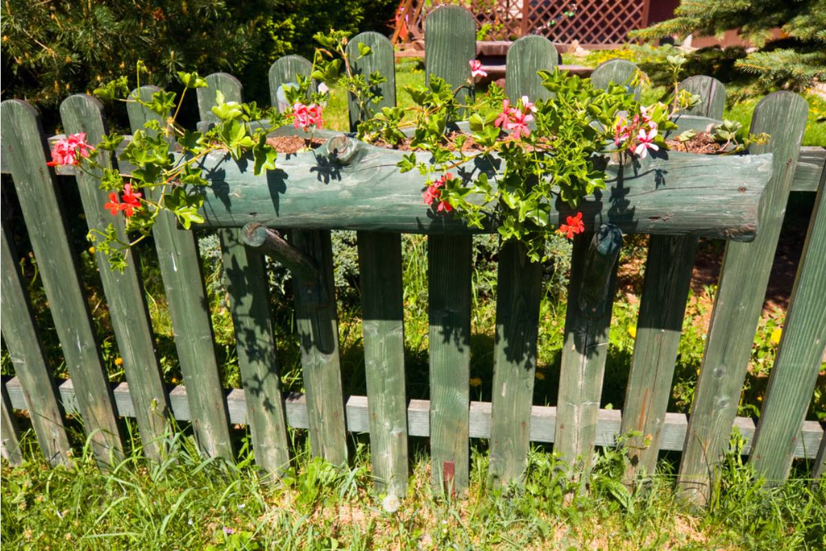 Homeowner Says Her Flower Garden Became the Neighborhood Shortcut, Then She Considered a Decorative Fence to Take Back Her Yard