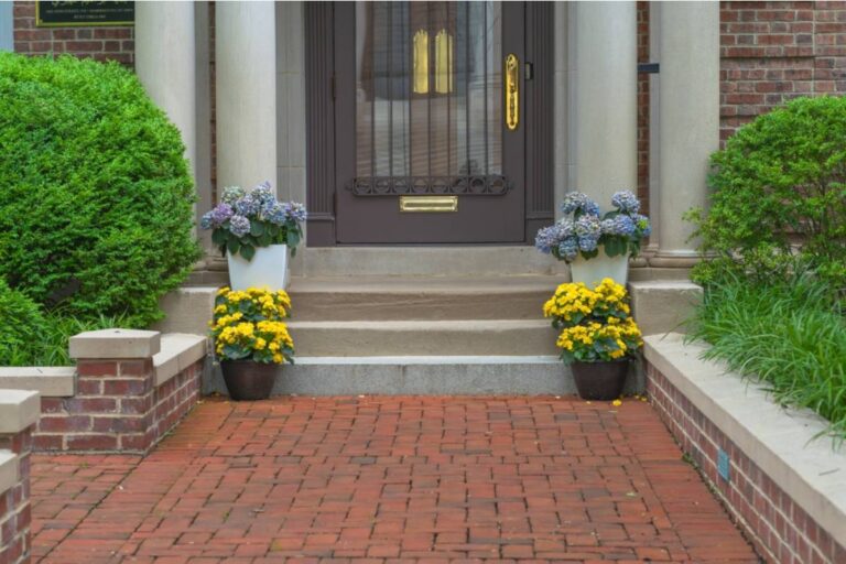 Homeowner Says Her Front Garden Became a Target After Thieves Stole Her Potted Plants, So She Created a New Bed and Planned a Surprisingly Thorny Comeback