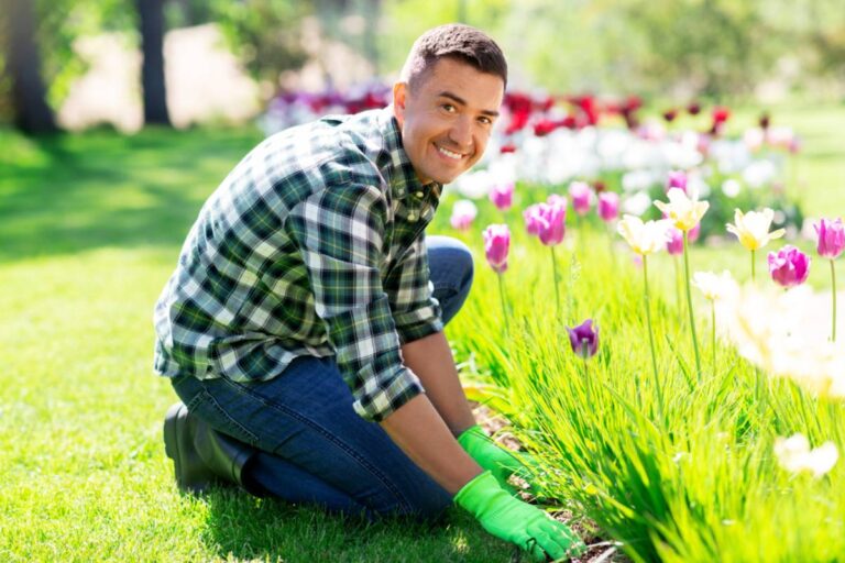 Homeowner Says Her Husband Wanted to Fix Their Neglected Lawn, Then Started Pulling Up the One Type of Wildflower She Actually Loved