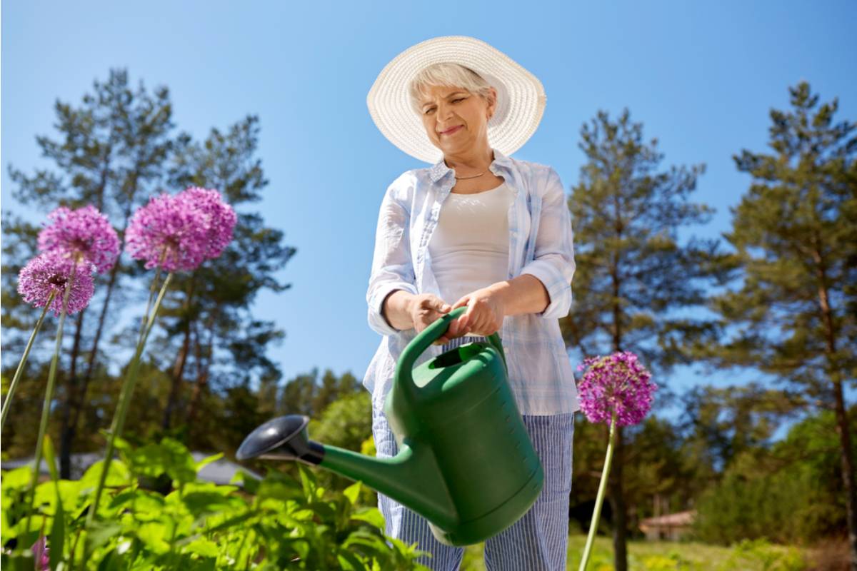 Homeowner Says Her Mother-in-Law Once Saved a Dying Houseplant, Then Quietly Decided She Had the Right to Keep Watering It