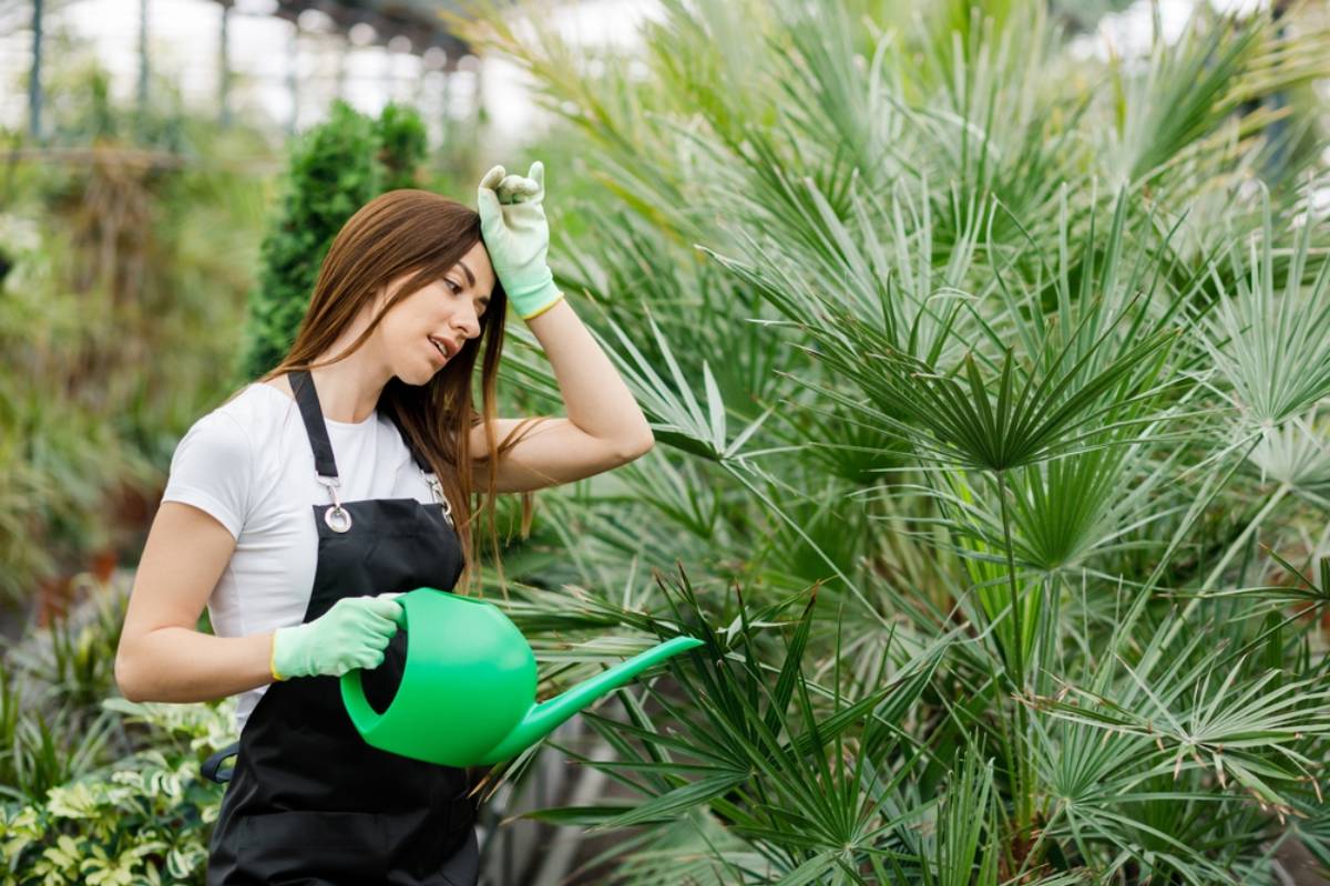 Homeowner Says Her Neighbor Asked Her to Water the Garden for One More Vacation, Then Their Friendly Favor Turned Into a Summer-Long Obligation