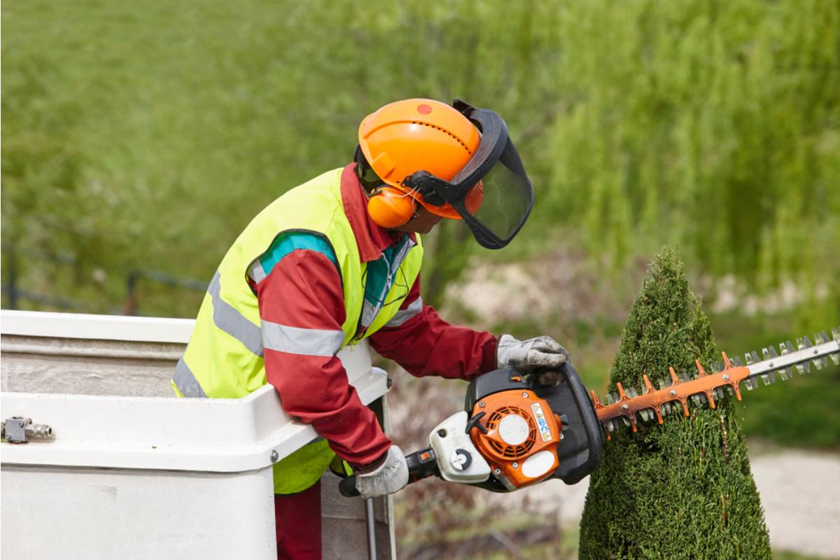 Homeowner Says Her Neighbor Hired a Crew to Cut a Mature Hedge While She Was Away on Christmas Eve, Then a Property Survey Became the Center of a $9,000 Dispute