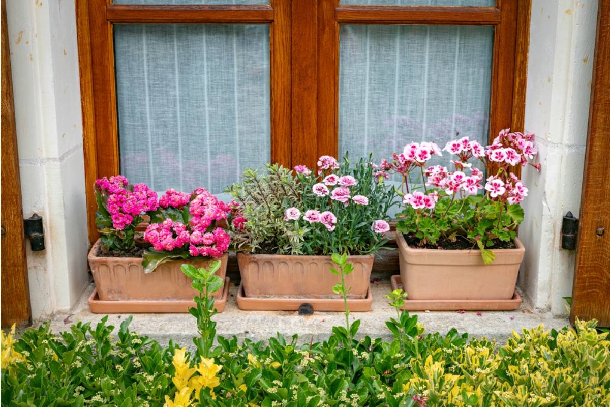 Homeowner Says Her Neighbor Kept Complaining About Her Wildlife Garden, Then a New Hobby Promised to Turn the Backyard Into a Very Loud Sanctuary