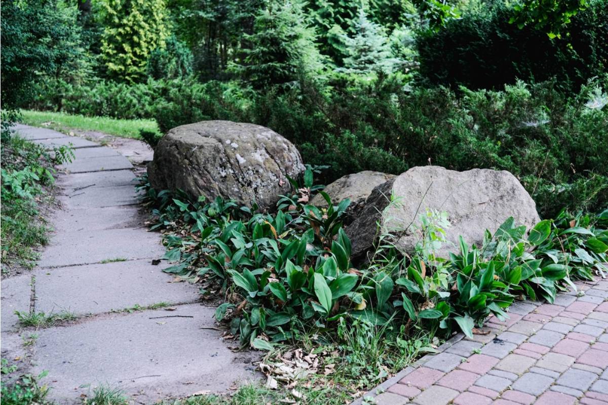 Homeowner Says Her Neighbor Kept Crossing the Garden Boundary, Then Hired Workers to Remove the Boulders Protecting Her Yard From Erosion
