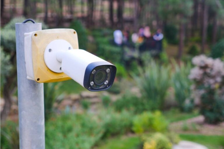 Homeowner Says Her Neighbor Spat Into a Garden Plant After Complaining About Security Cameras, Then the Yard Became the Center of a Petty Feud