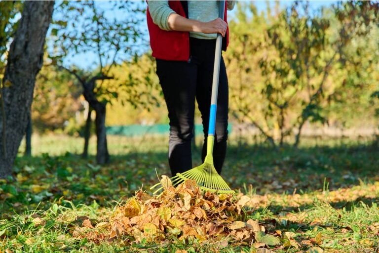 Homeowner Says Her Neighbor Swept a Balcony Full of Leaves Straight Into Her Carefully Cleared Garden, Then Everyone Had a Different Idea About What to Do With the “Gift”