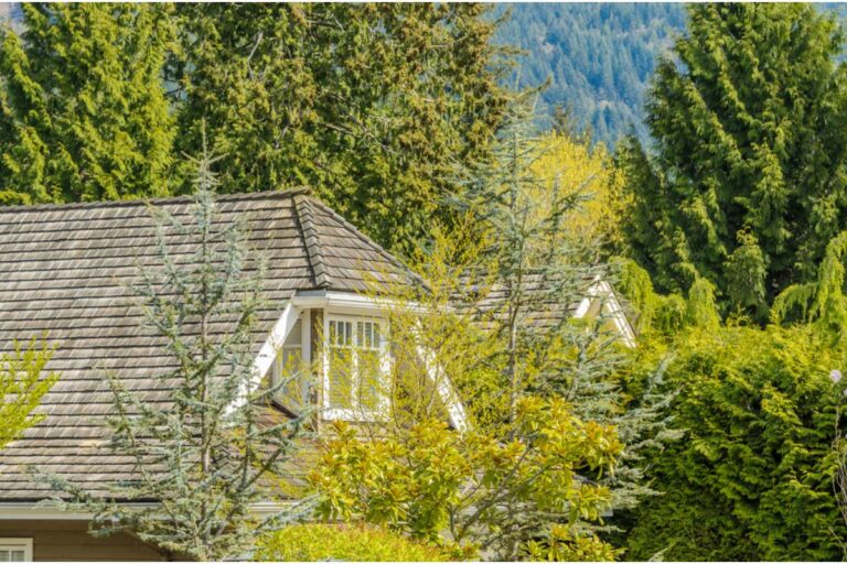 Homeowner Says Her Neighbors Cleared Trees for a Better Mountain View, Then Asked Her to Remove Hers Too, So She Planted Twenty Green Giants Instead