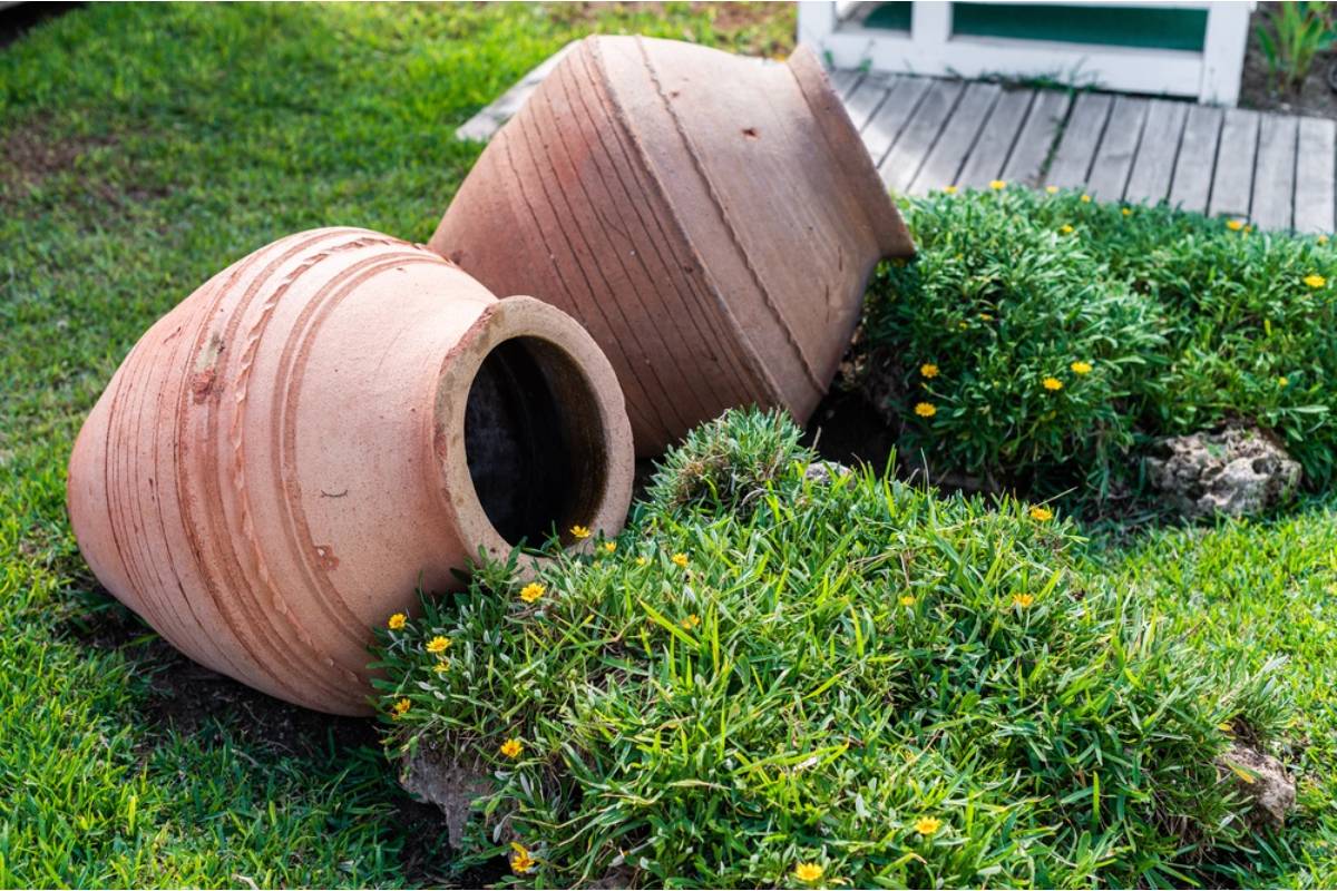 Homeowner Says Her Neighbors Destroyed Her Garden, Stole Sentimental Plants, and Repeatedly Entered Her Property, Then Told Her to “Put It Behind Her”
