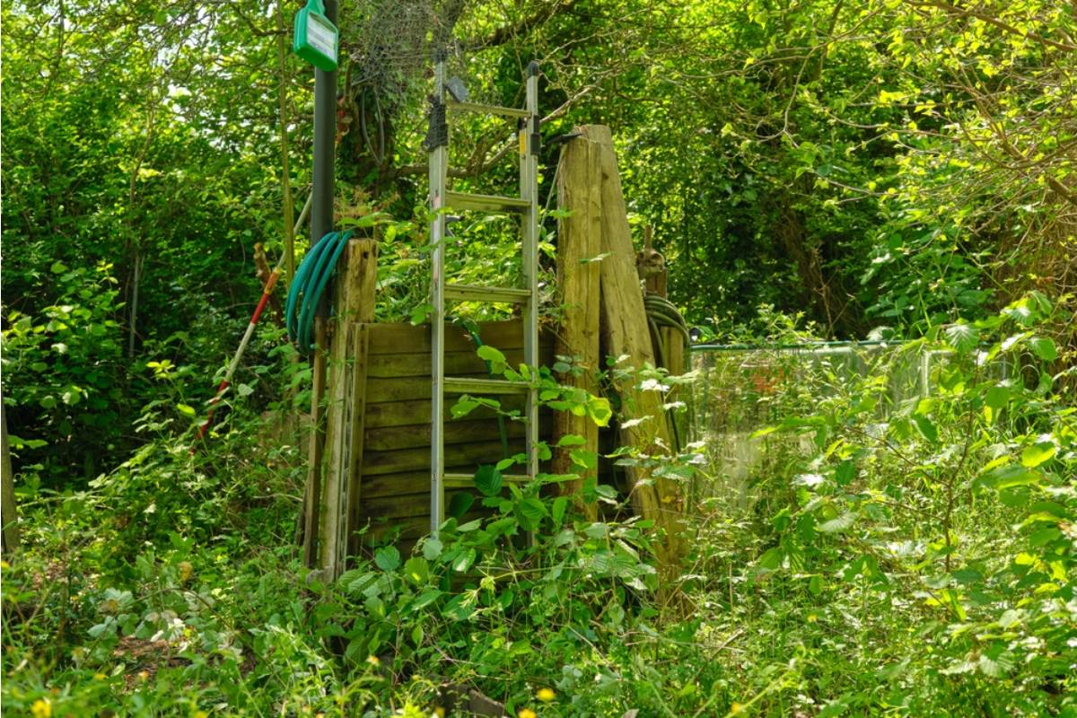 Homeowner Says Her Neighbor's Untamed Yard Started Sending Vines Across the Fence, Then Neighbors Began Arguing Over Who Was Responsible for the Growing Jungle