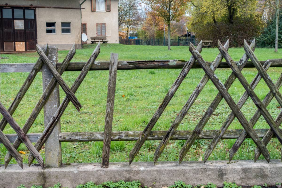 Homeowner Says Her New Garden Fence Finally Gave Her Peace, Then a Tiny Gap Turned Into the Next Neighborhood Battle