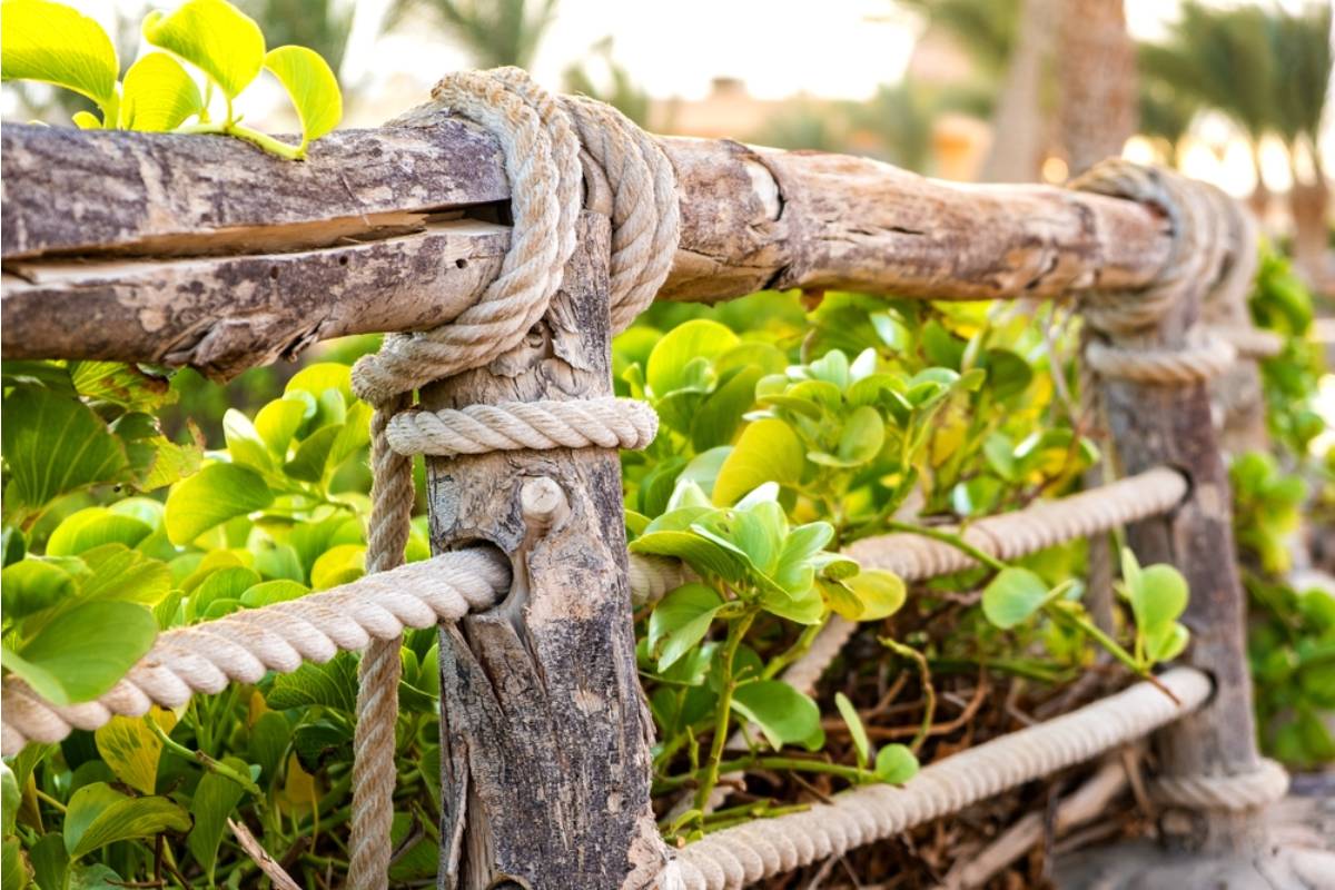 Homeowner Says Her New Neighbor Treated Her Garden as His Own, Until a Simple Rope Started a Full Property-Line Battle