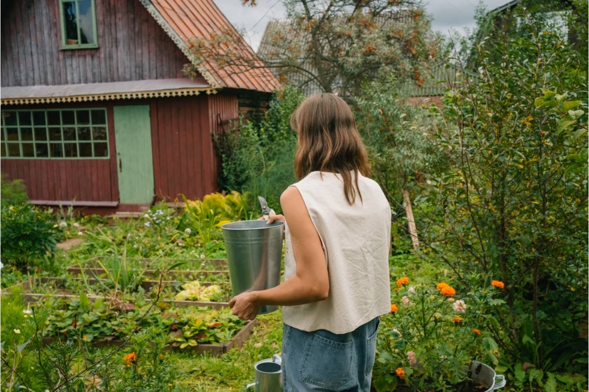 Homeowner Says Her New Village Neighbor Welcomed Them With Plants and a Chainsaw, Then Started Policing Their Driving Before a 10 PM Kitchen Delivery Changed Everything
