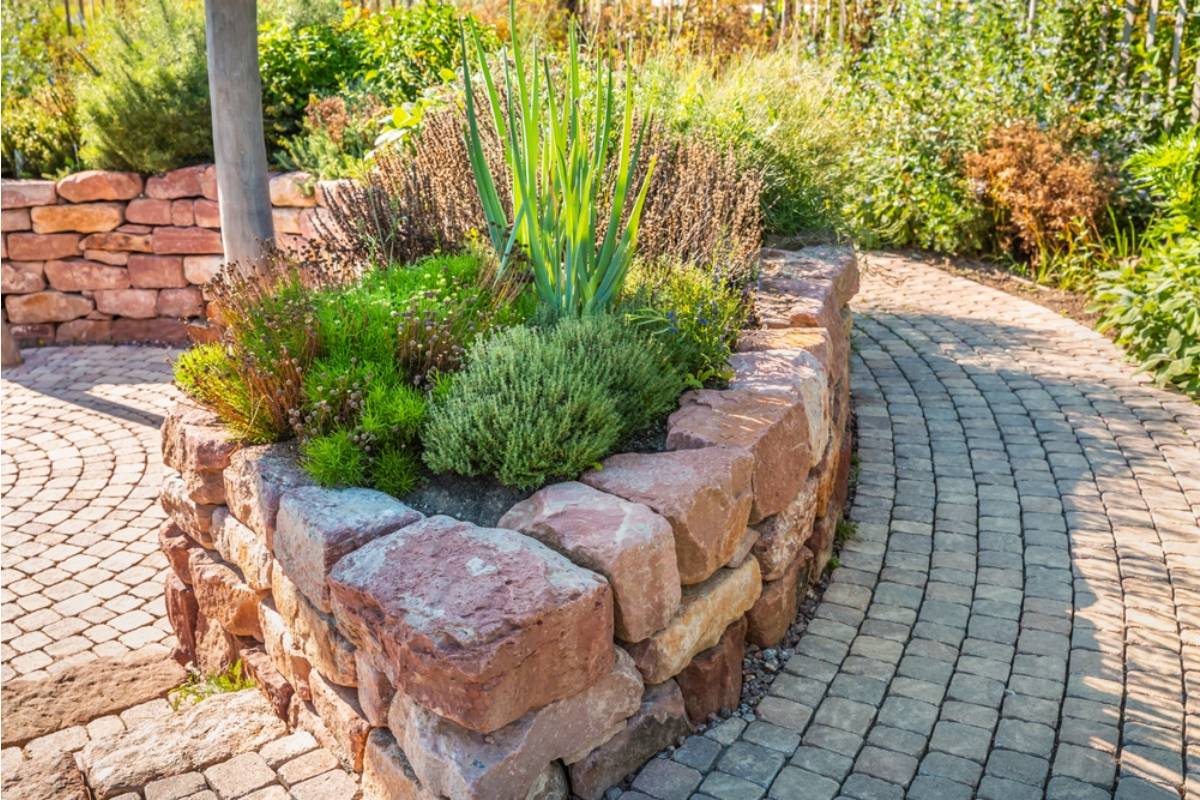 Homeowner Says Her Patio Vegetable Garden Grew for Four Years Without a Complaint, Then the HOA Suddenly Demanded Every Planter Be Removed