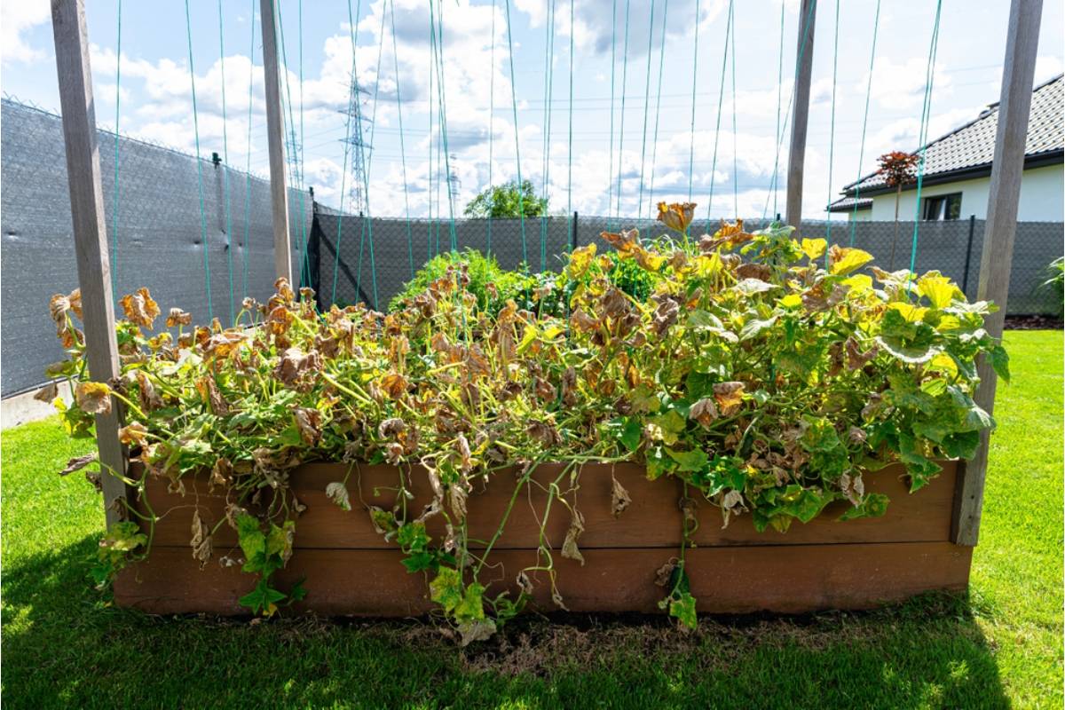 Homeowner Says Her Upstairs Neighbor's Late-Night Drinking Turned Every Evening Into a Mystery, Then a Story About a Destroyed Garden Made Her Rethink How Much Help One Person Can Give