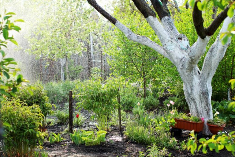 Homeowner Says His Neighbor Spent Two Years Turning a Forested Slope Into a Massive Rock Garden, Then Every Rainstorm Started Carrying the Garden Into a Protected River