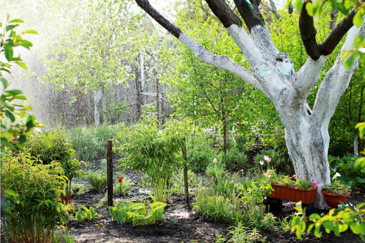 Homeowner Says His Neighbor Spent Two Years Turning a Forested Slope Into a Massive Rock Garden, Then Every Rainstorm Started Carrying the Garden Into a Protected River