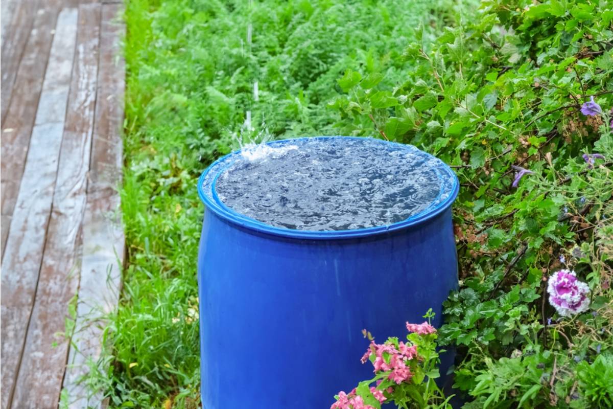 Homeowner Says His Rural Neighbor Dumped Every Rainwater Barrel on His Property, Then a Single Text Message Gave Him the Evidence He Needed
