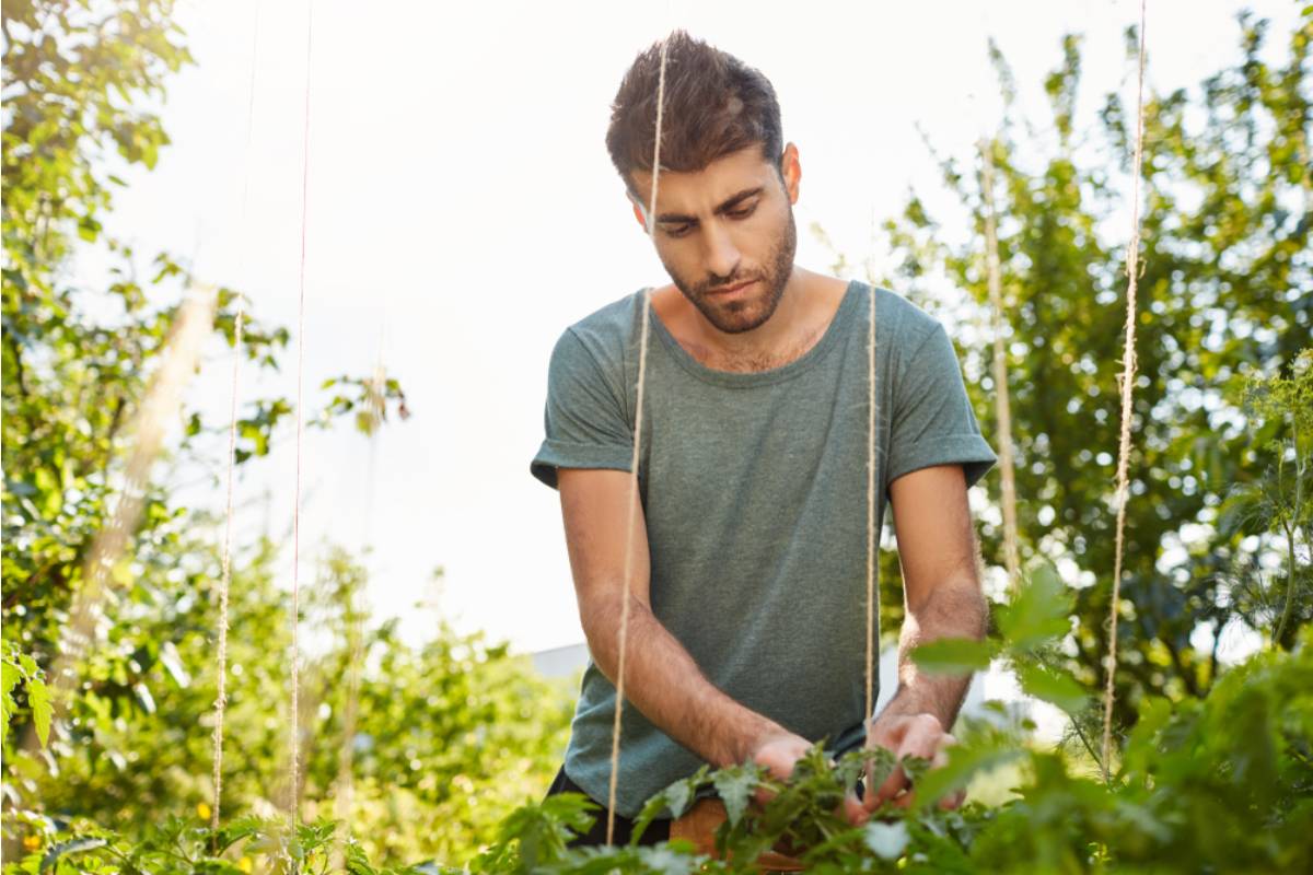 Homeowner Says His Wife Turned Her Gardening Hobby Into a Four-Hour Daily Job, Then Started Leaving Him Plant Chores While He Was Still Asleep