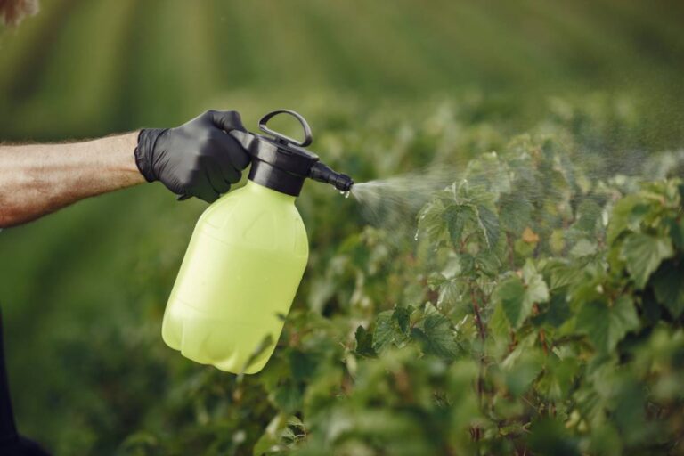 Homeowner Says Neighbor Built a Second Fence to Solve His Weed Problem, Then Started Spraying Herbicide Into Her Bee-Friendly Garden